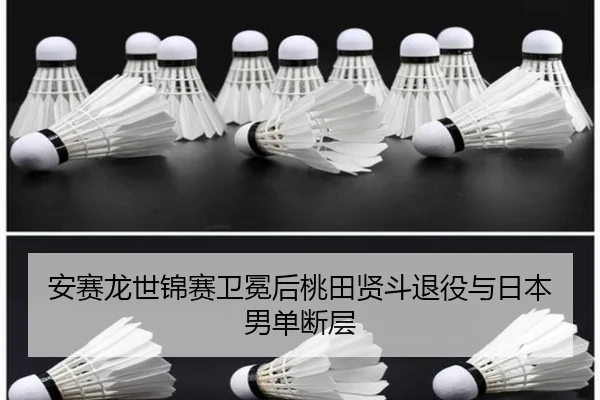 an-sai-long-shi-jin-sai-wei-mian-hou-tao-tian-xian-dou-tui-yi-yu-ri-ben-nan-dan-duan-ceng-3-105.jpg